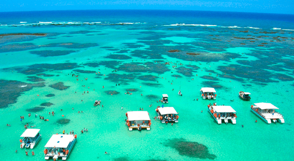 Paripueira - Litoral Norte de Alagoas Guia Completo - www.paripueira.com